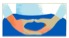 Pasted Graphic 6